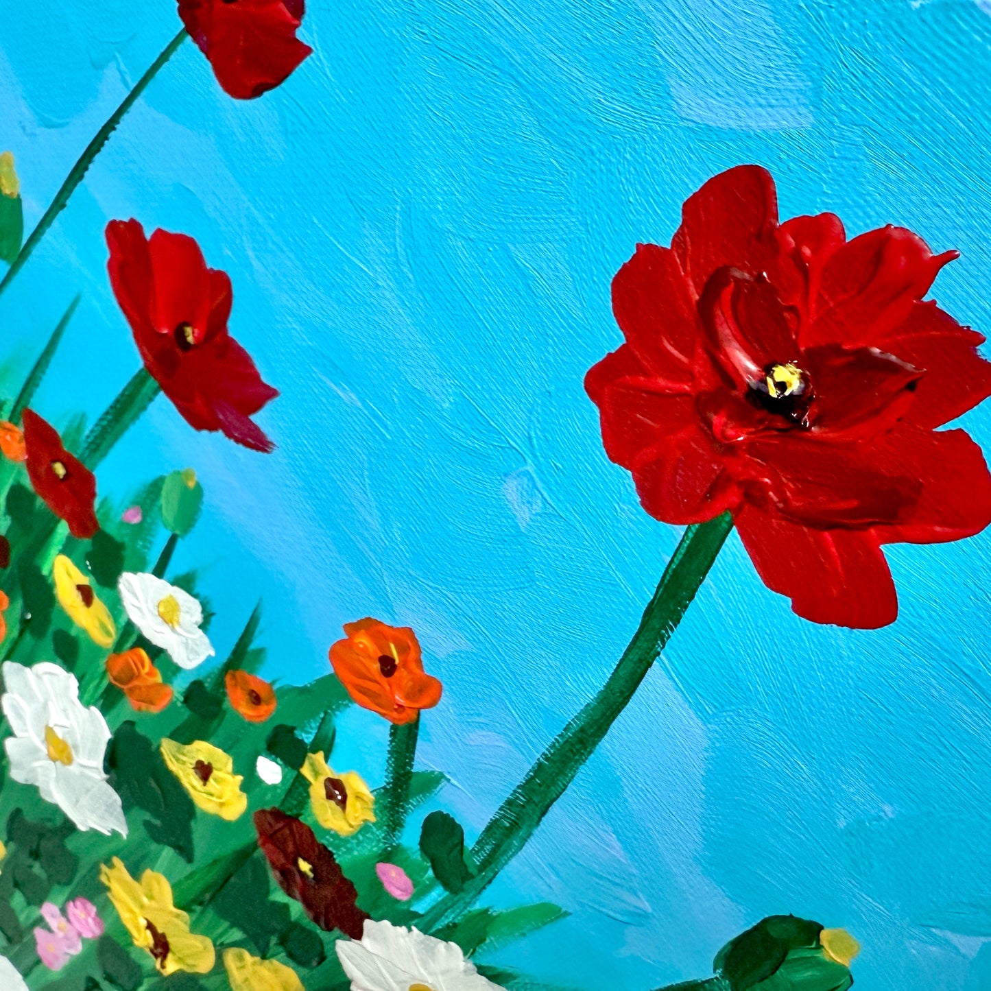 Colorful Wildflowers