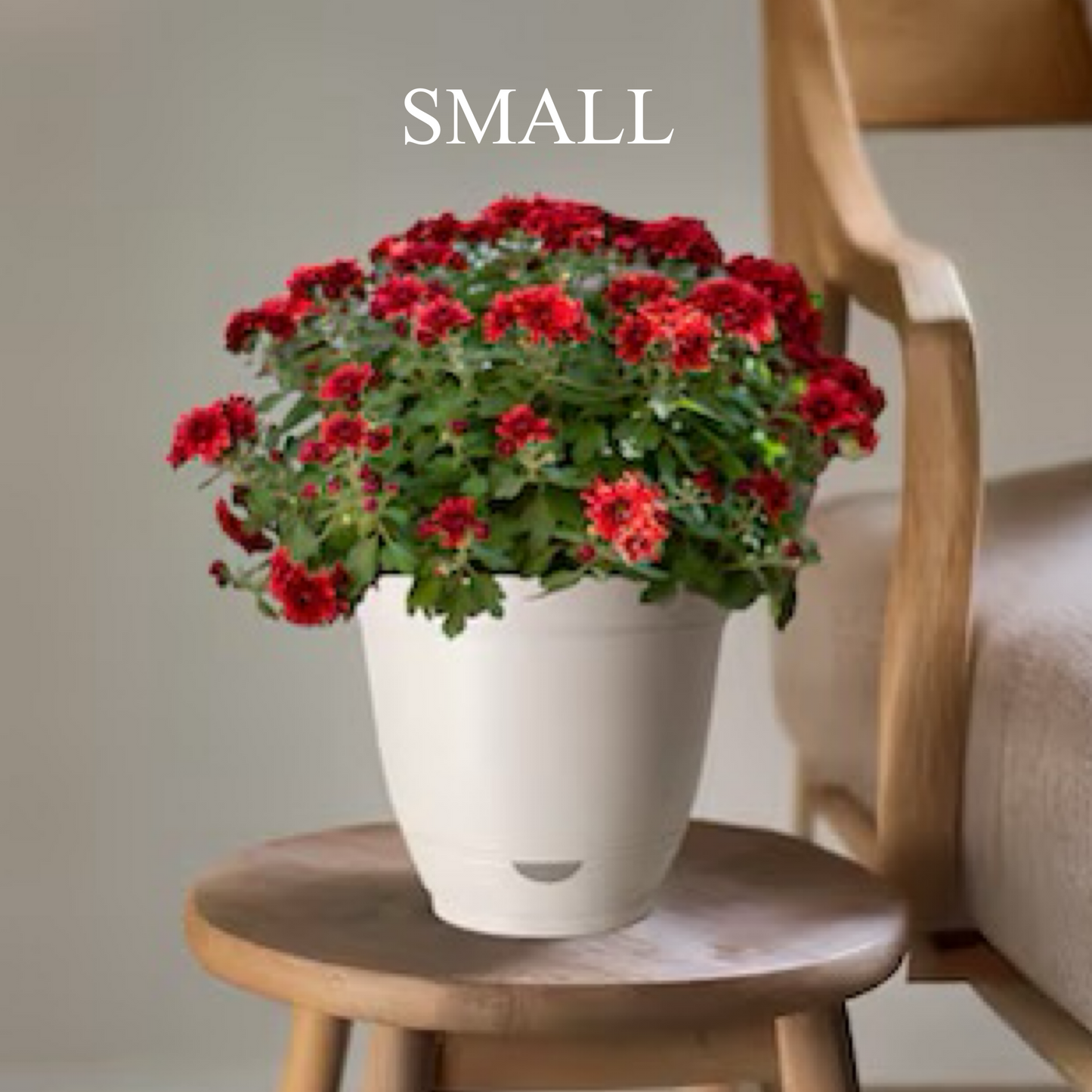 Funky Flower Pot
