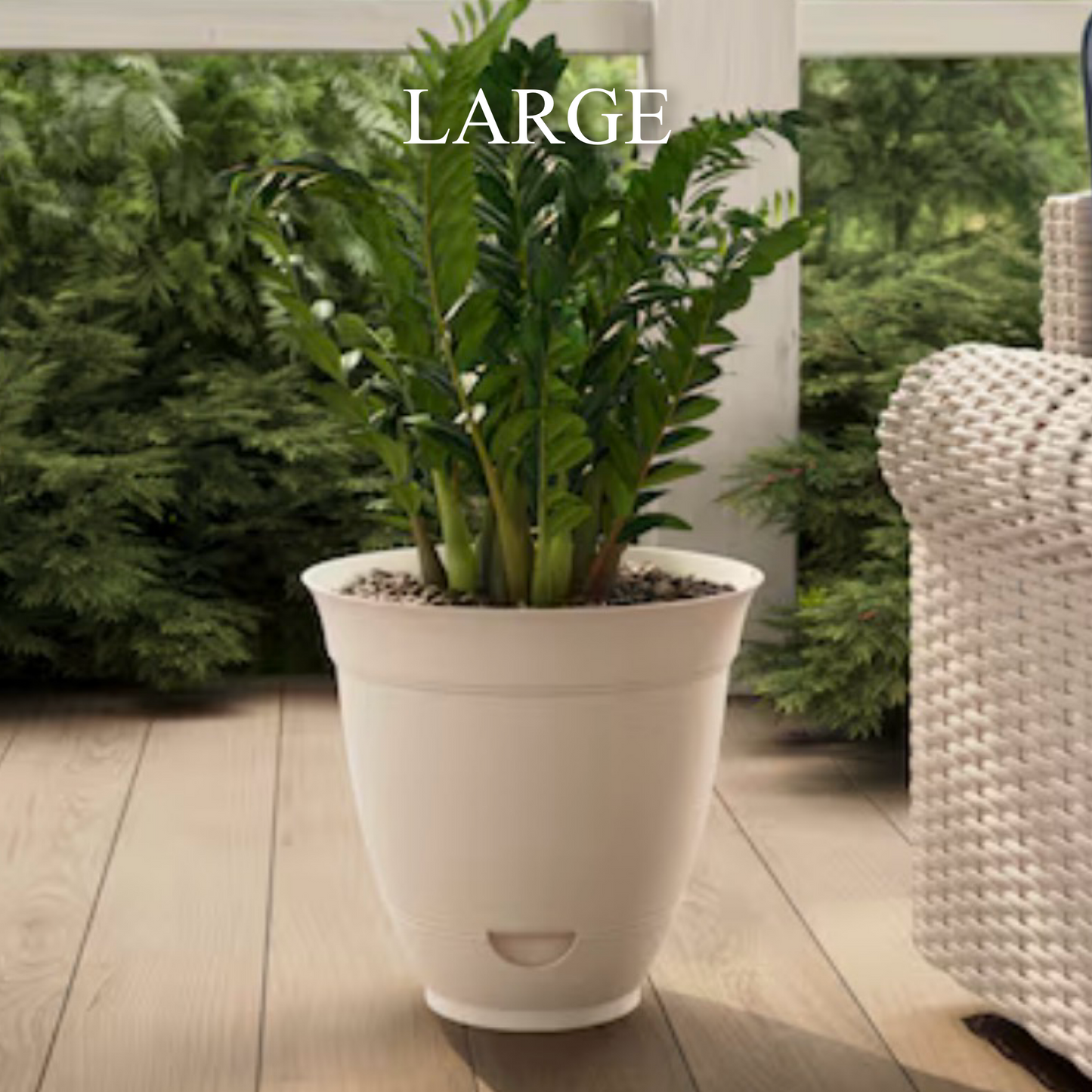 Funky Flower Pot